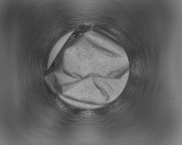 X0000059230424200511111553