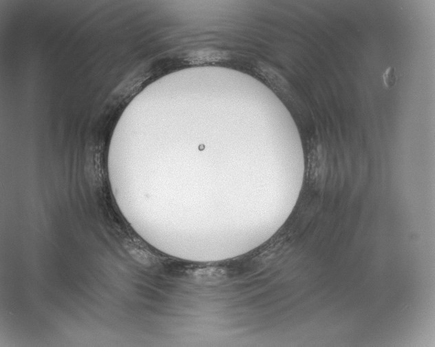 X0000059230426200511111553