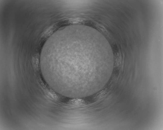 X0000059230427200511111553