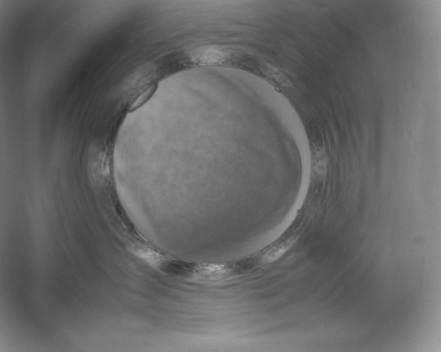 X0000059230431200511111553