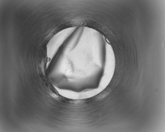 X0000059230432200511111553