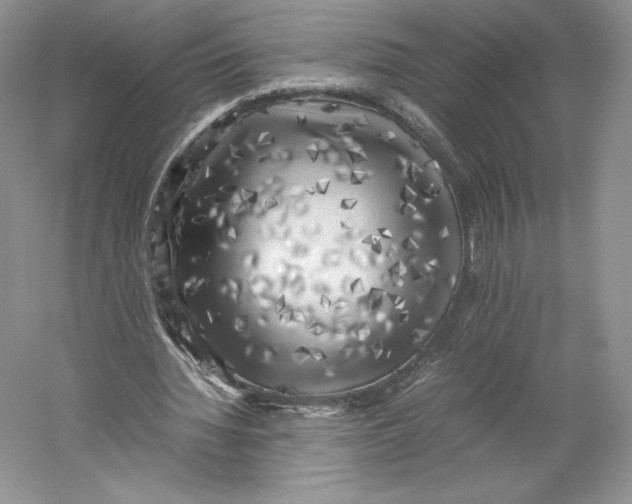 X0000059230436200511111552