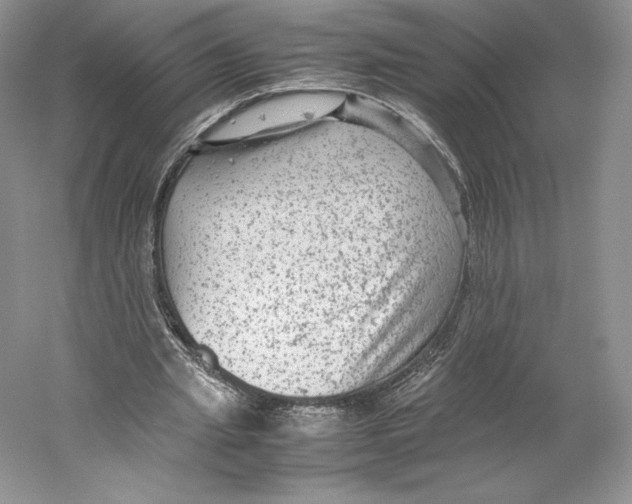 X0000059230437200511111552