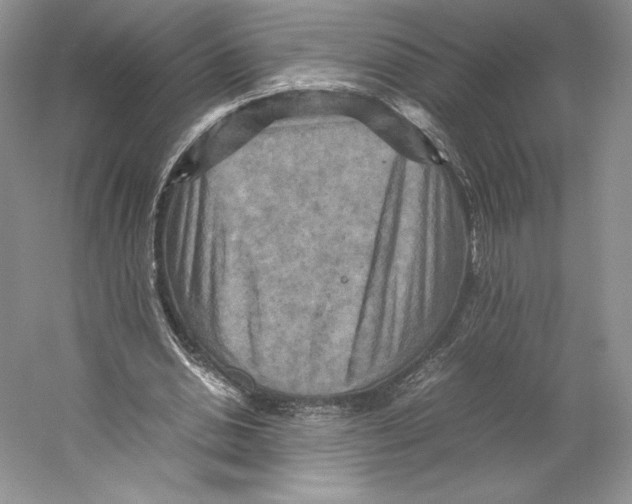 X0000059230438200511111552