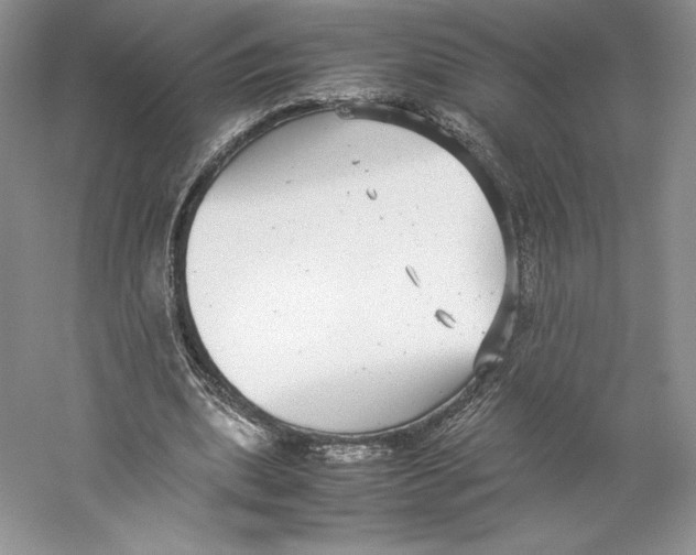 X0000059230439200511111552