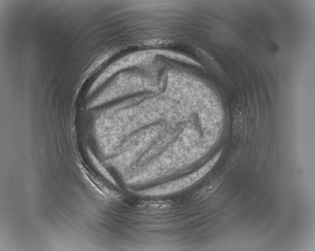 X0000059230443200511111552