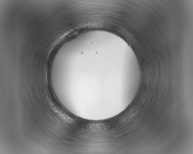 X0000059230446200511111552