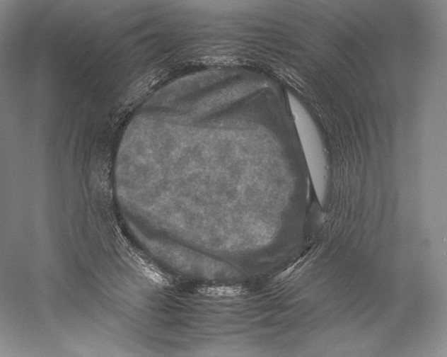 X0000059230449200511111553