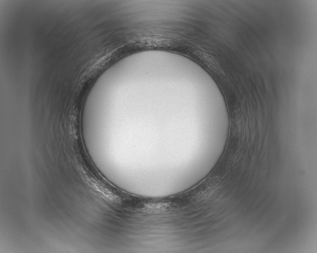 X0000059230450200511111553