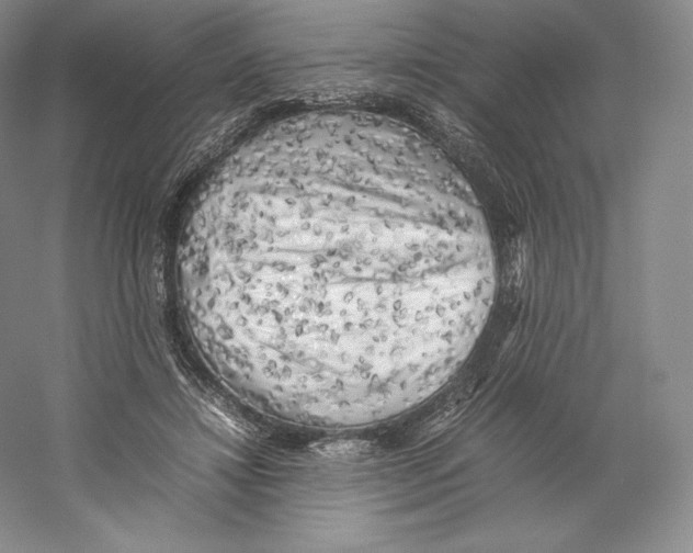 X0000059230452200511111553