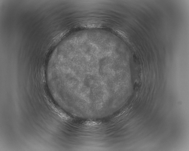 X0000059230453200511111553