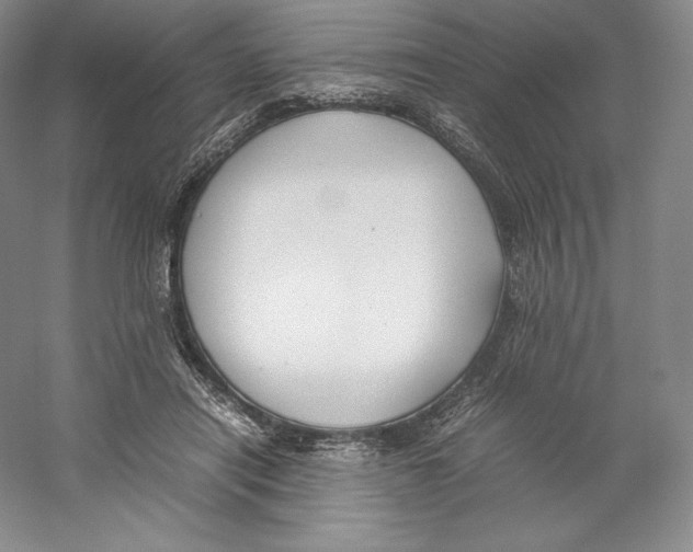 X0000059230454200511111553