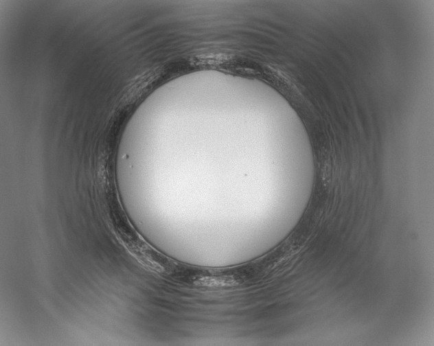 X0000059230455200511111553