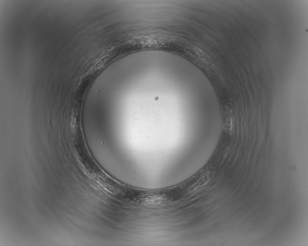 X0000059230456200511111553