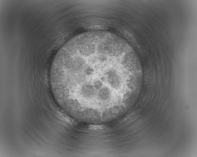 X0000059230457200511111553