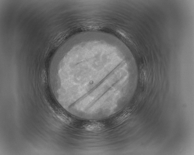 X0000059230459200511111553