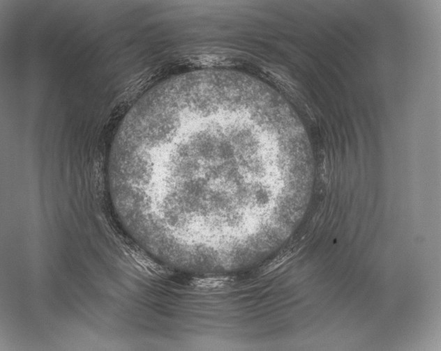 X0000059230461200511111553