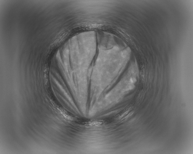 X0000059230462200511111553