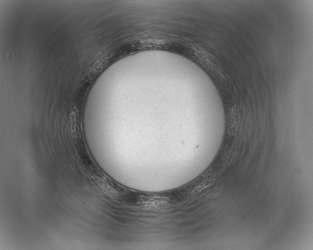 X0000059230463200511111553