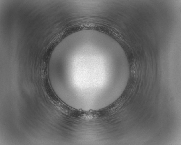 X0000059230464200511111553