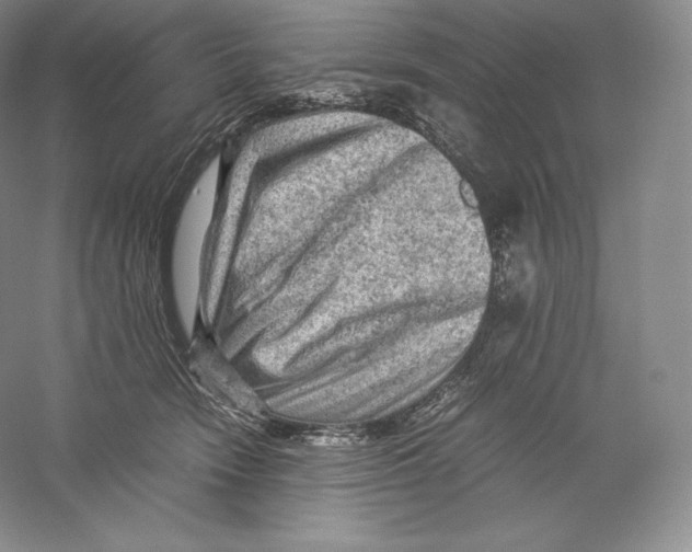 X0000059230466200511111553