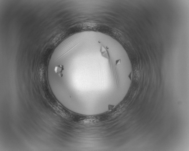 X0000059230468200511111553