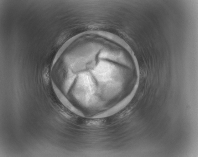 X0000059230479200511111553