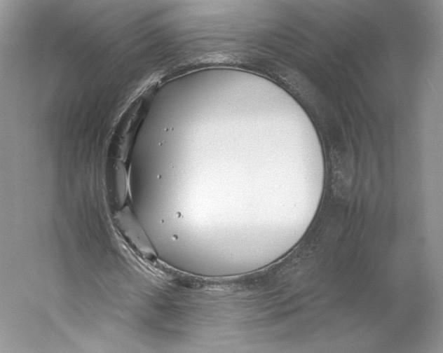 X0000059230482200511111552