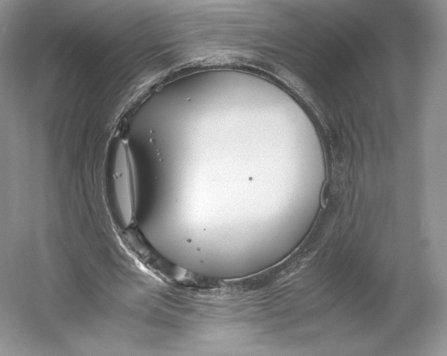 X0000059230485200511111552