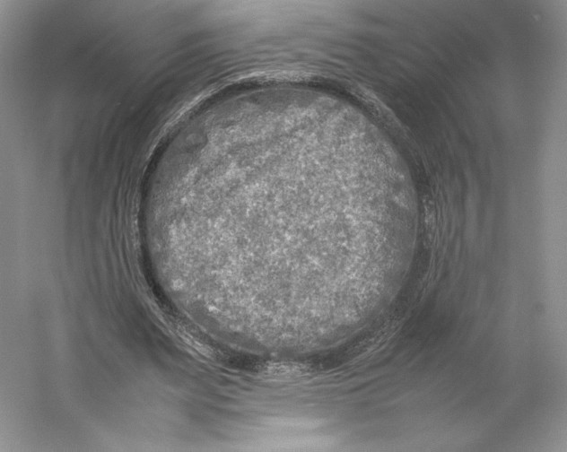 X0000059230487200511111552