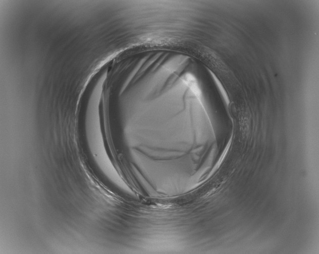 X0000059230488200511111552