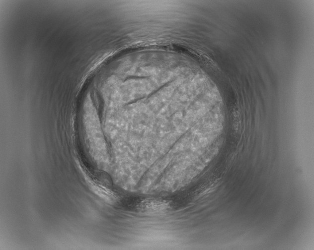 X0000059230491200511111552