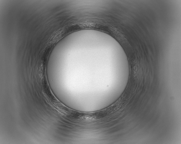 X0000059230498200511111552