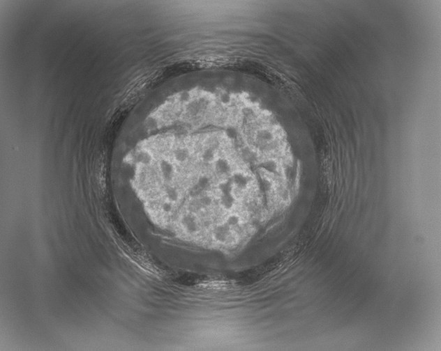 X0000059230499200511111552