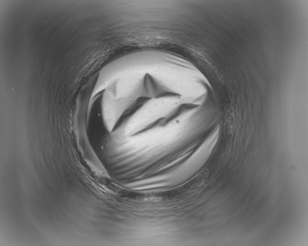 X0000059230501200511111552