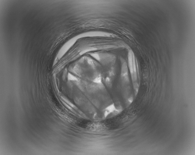 X0000059230503200511111552