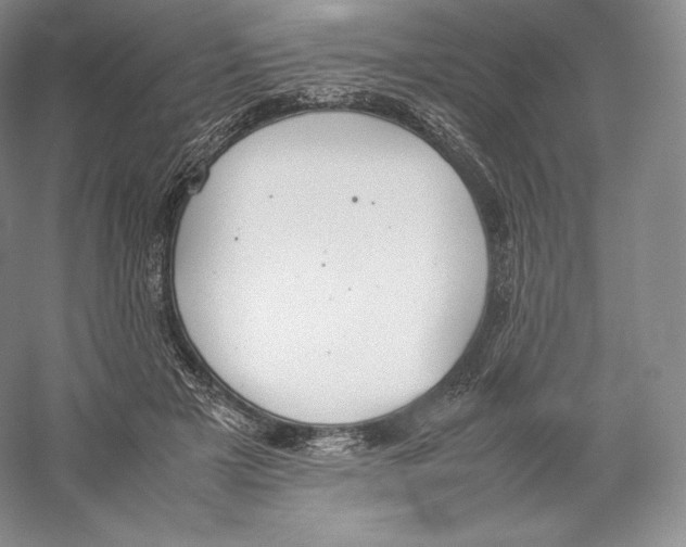 X0000059230505200511111552