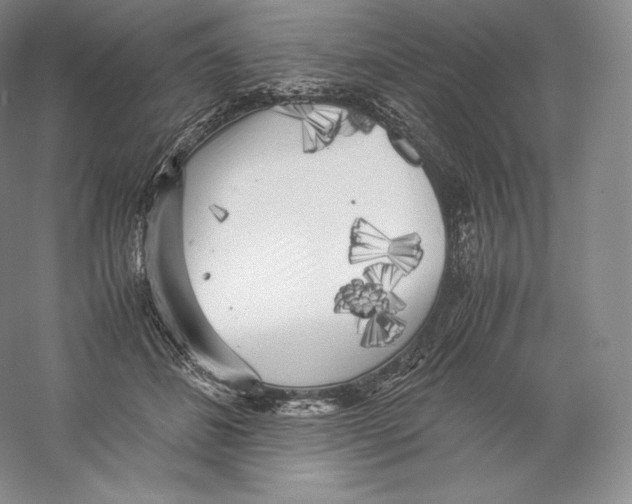 X0000059230508200511111552