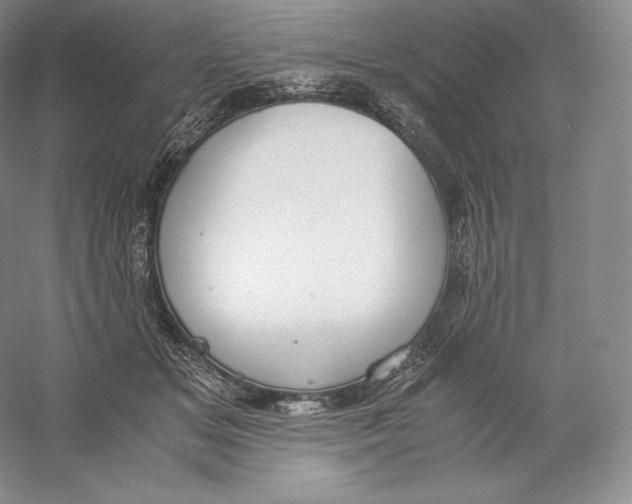 X0000059230509200511111552