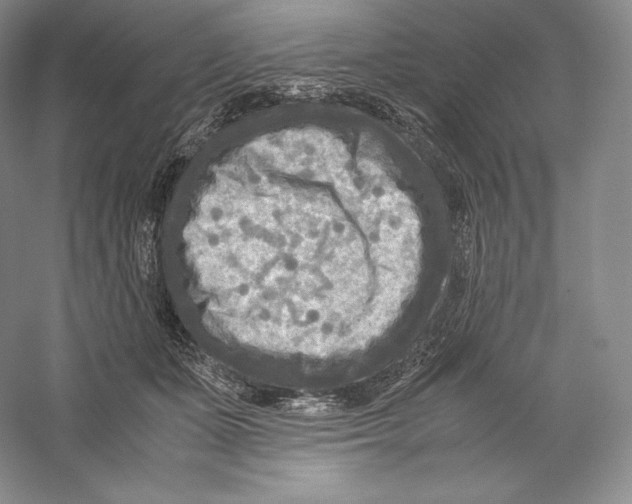 X0000059230511200511111552