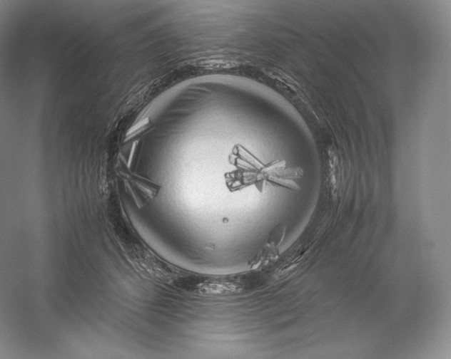 X0000059230512200511111552