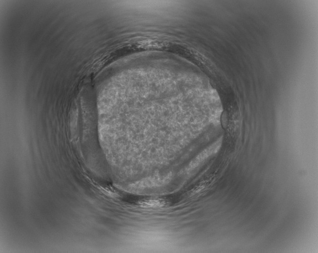 X0000059230513200511111552