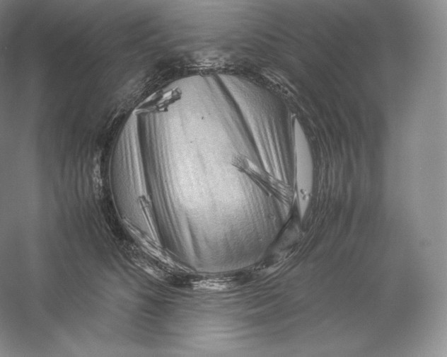 X0000059230516200511111552