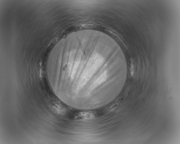 X0000059230520200511111552