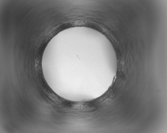 X0000059230521200511111552