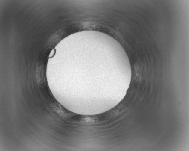 X0000059230522200511111552