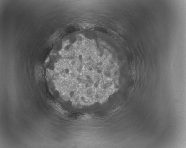 X0000059230523200511111552