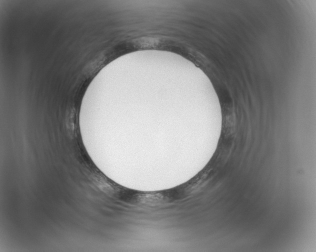 X0000059230525200511111551