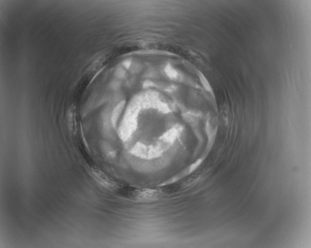 X0000059230527200511111551