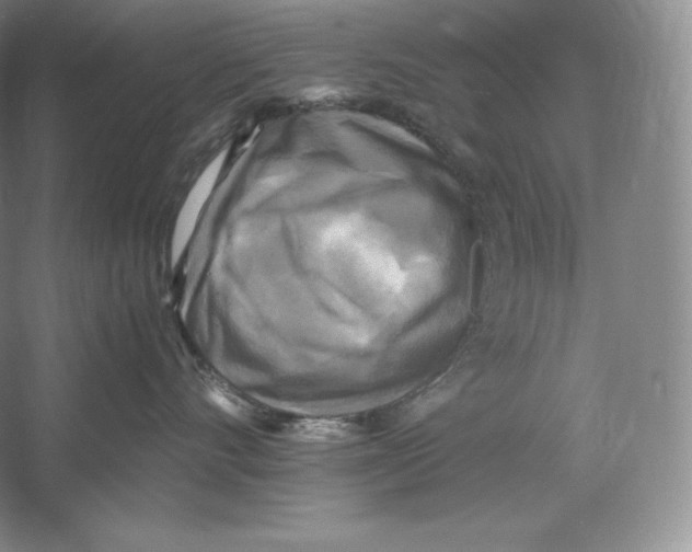 X0000059230528200511111551